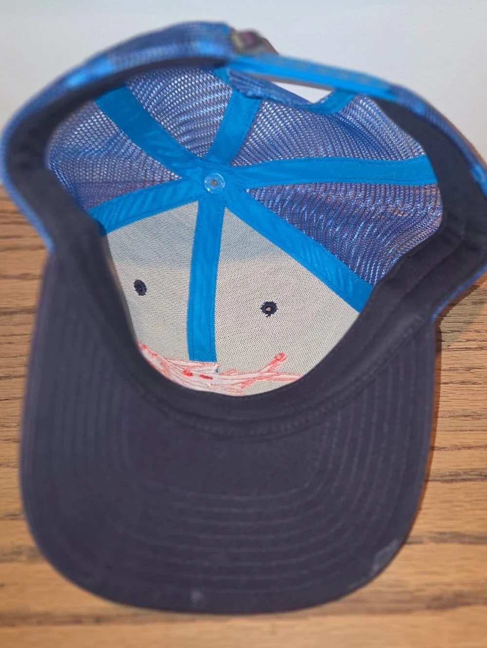 Patagonia baseball hat
